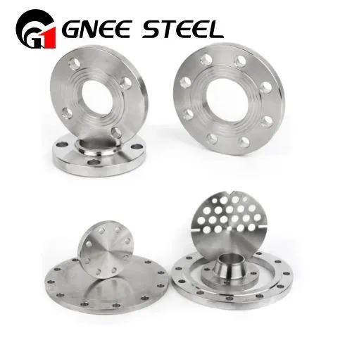 شفة Hastelloy C276 UNS N10276